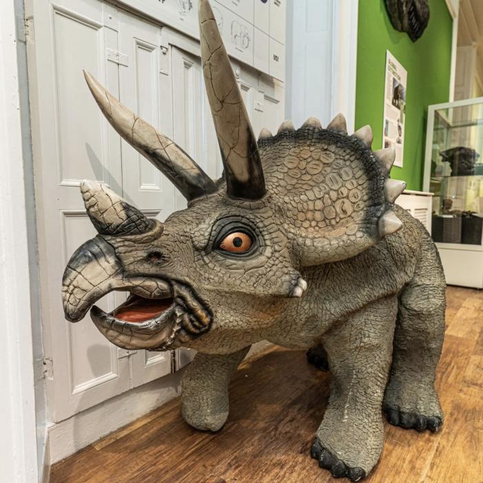 extinction pic.jpeg